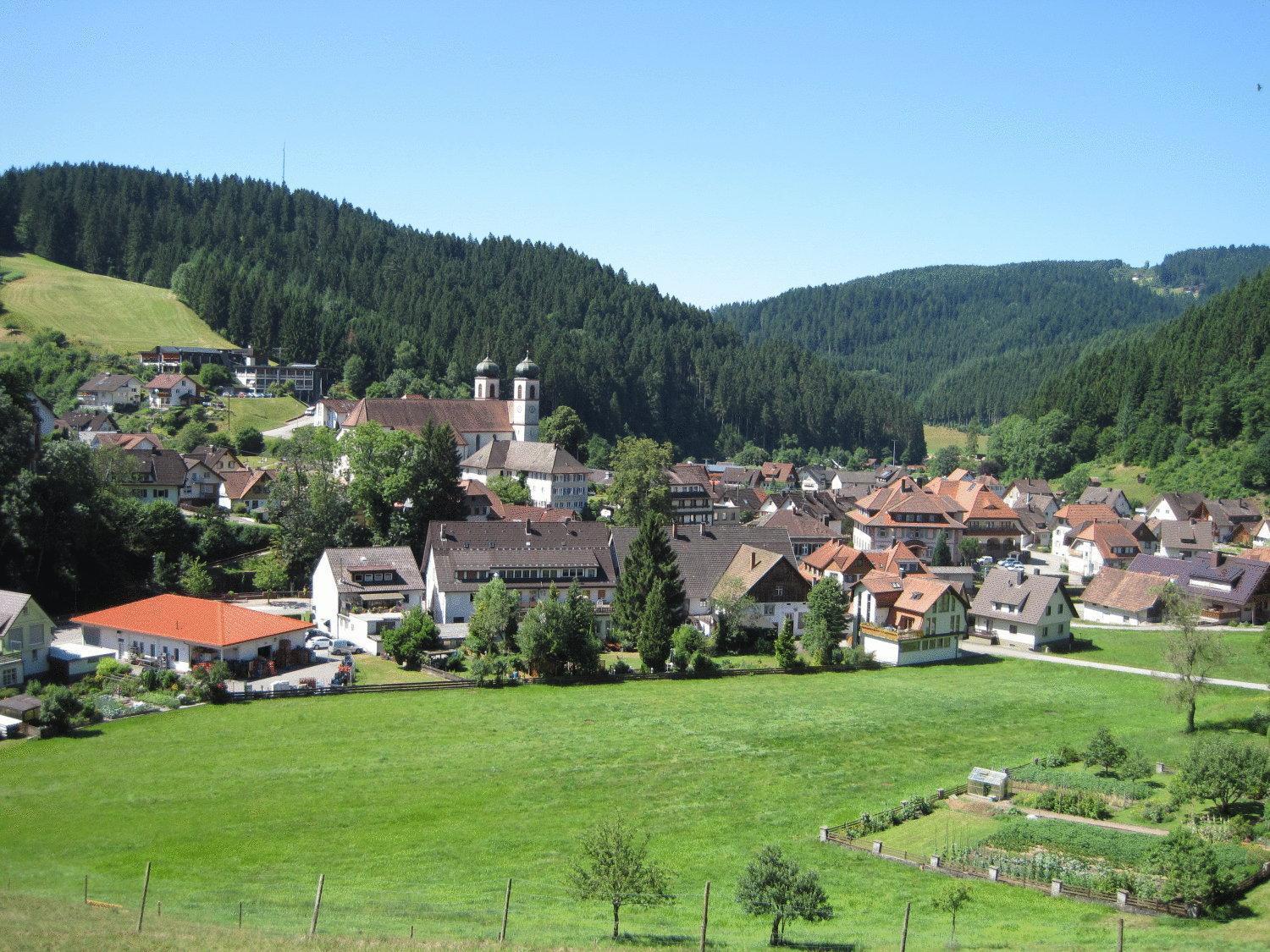 Hotel Restaurant Albans Sonne Bad Rippoldsau-Schapbach Luaran gambar