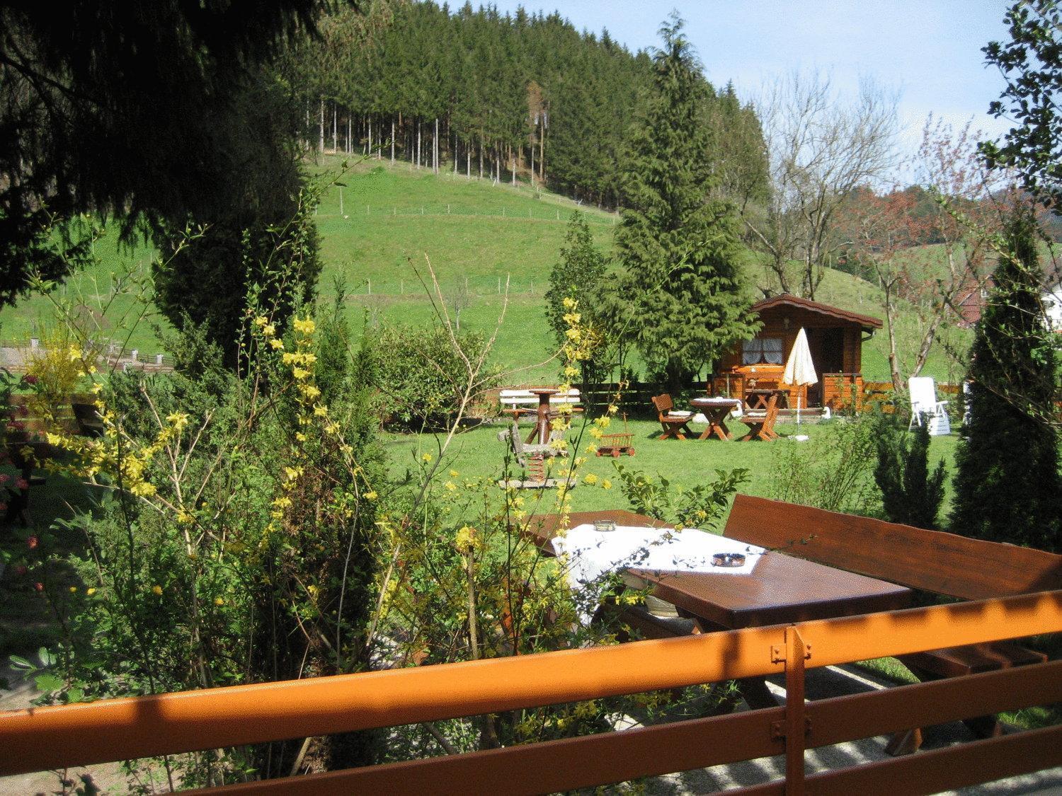 Hotel Restaurant Albans Sonne Bad Rippoldsau-Schapbach Luaran gambar
